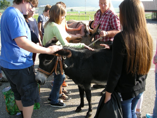 Catéchisme | Camp de cathéchisme à Prêles, 2013